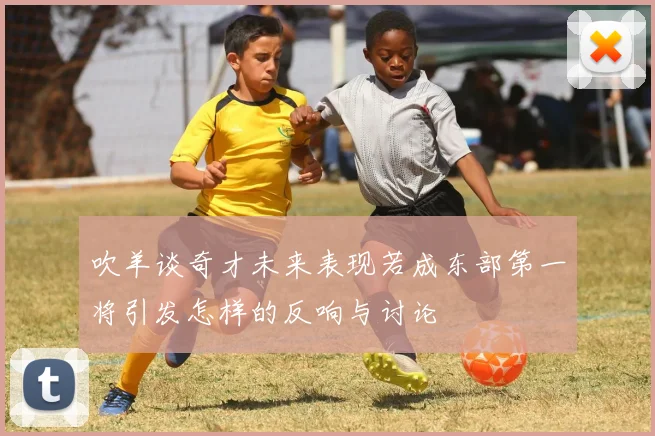 吹羊谈奇才未来表现若成东部第一将引发怎样的反响与讨论