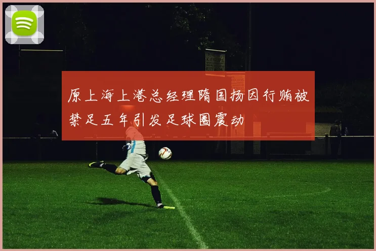 原上海上港总经理隋国扬因行贿被禁足五年引发足球圈震动